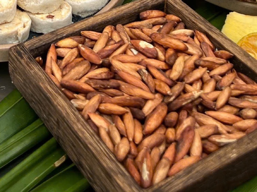 Nhân hạt bàng Côn Đảo sau khi chặt vỏ